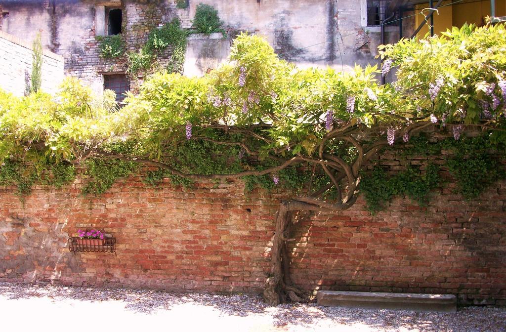 Hotel Relais Alcova Del Doge Mira Exteriér fotografie